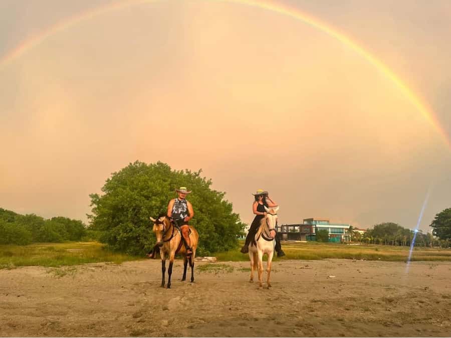 Cartagena: Horseback Ridding Excursion on the Beach - Key points before you book