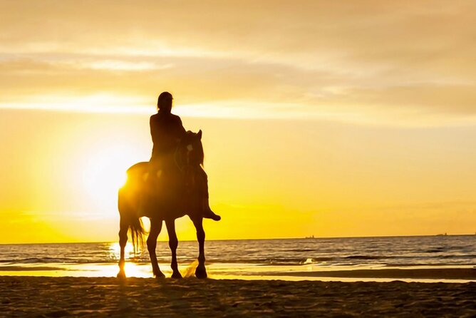 Cartagena: Horseback Riding at the Beach During Day or Sunset - Safety, weather, and service concerns