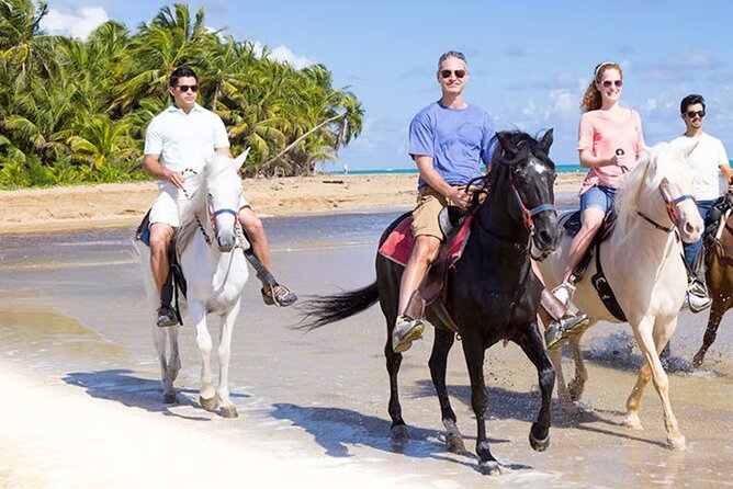 Cartagena: Horseback Riding at the Beach During Day or Sunset - What happens when you arrive