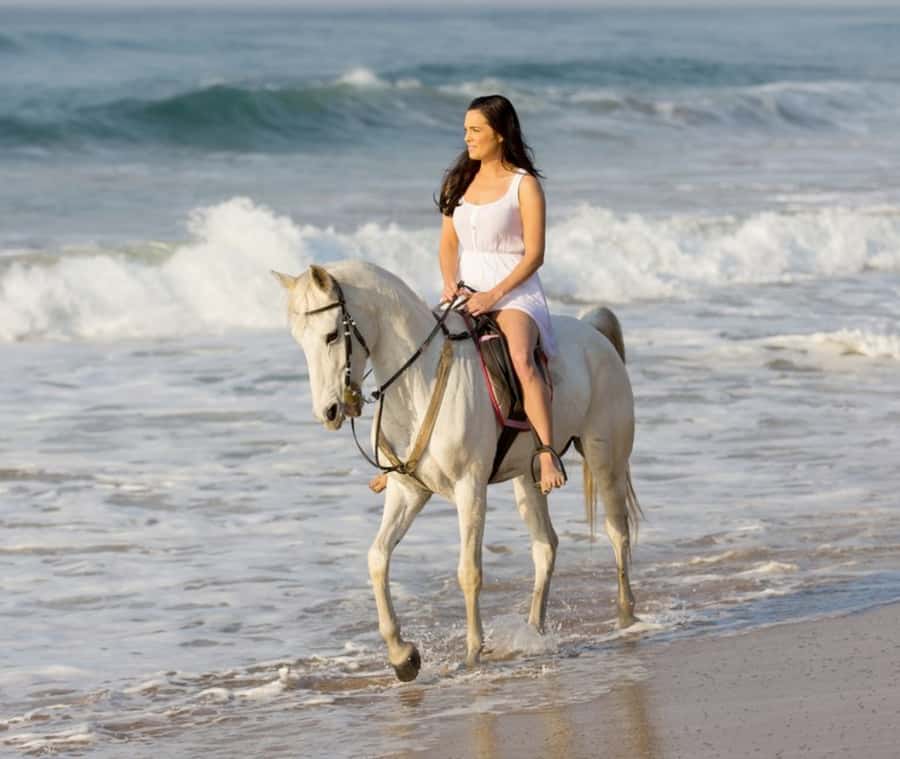 Cartagena: Horseback Riding on the Beach at Sunset - Key Details Before You Saddle Up