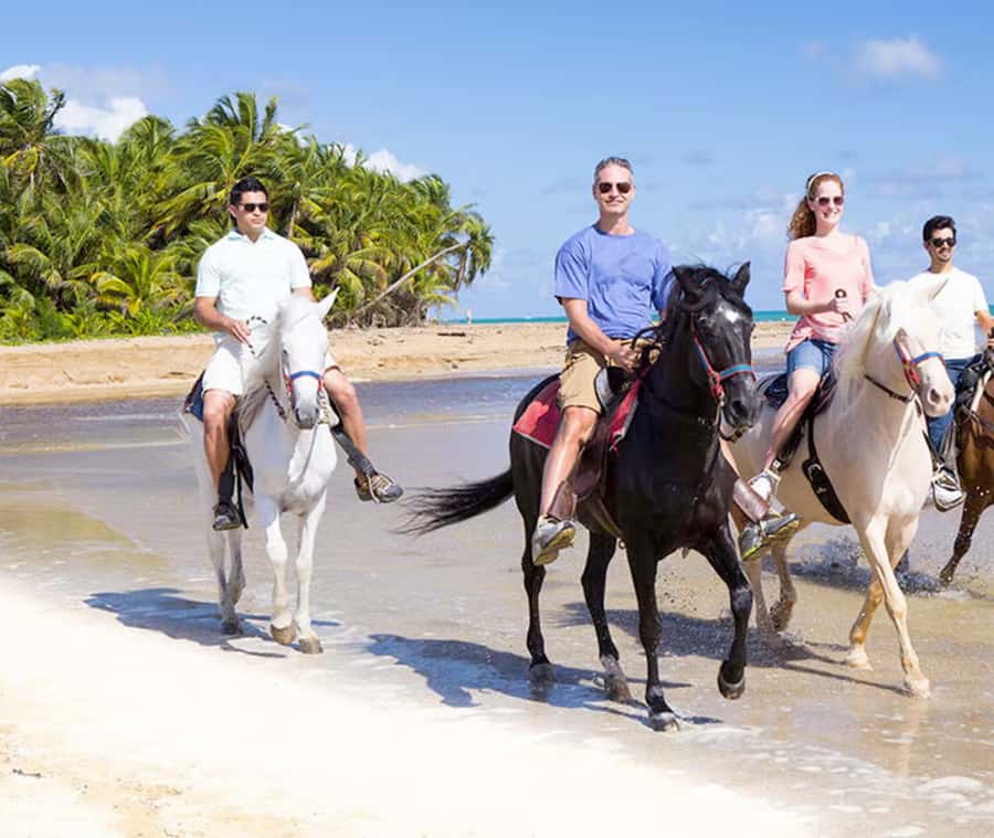 Cartagena: Horseback Riding on the Beach at Sunset - Why This Ride Shows You Another Side of Cartagena