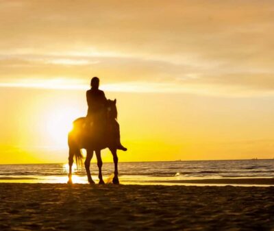 Horseback Riding on the Beach at Sunset