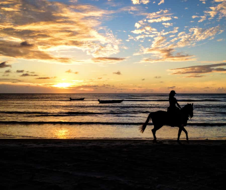 Cartagena: Horseback Riding on the Beach at Sunset - Useful Planning Advice for the Day