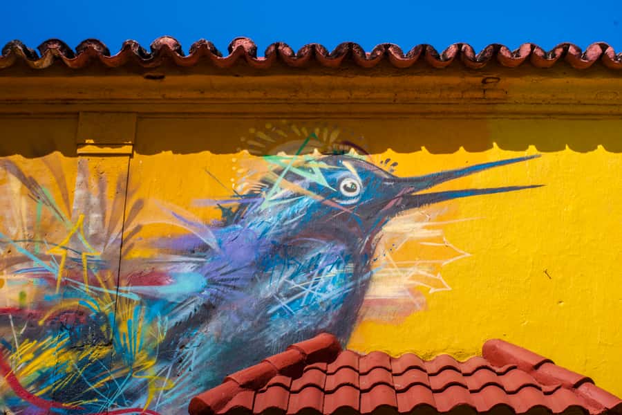 Cartagena Instagram Mobile Workshop: Scenic and Trendy Shots - Why Getsemani works so well for a phone photography class