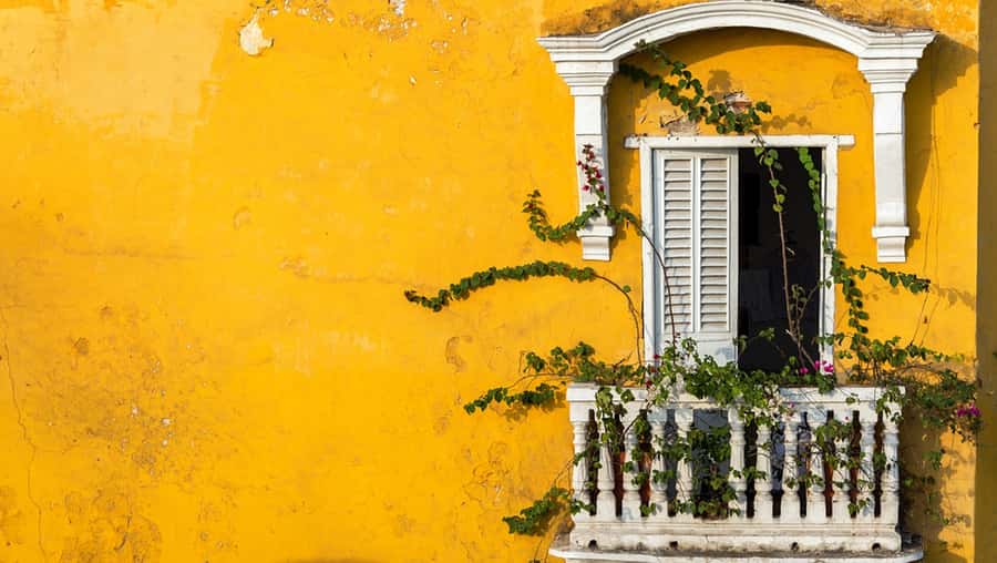 Cartagena Instagram Mobile Workshop: Scenic and Trendy Shots - What Paola adds to the experience