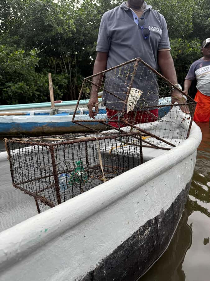 Cartagena: Mangrove Eco Tour & Fishing with Transportation - Is $55 a fair price?