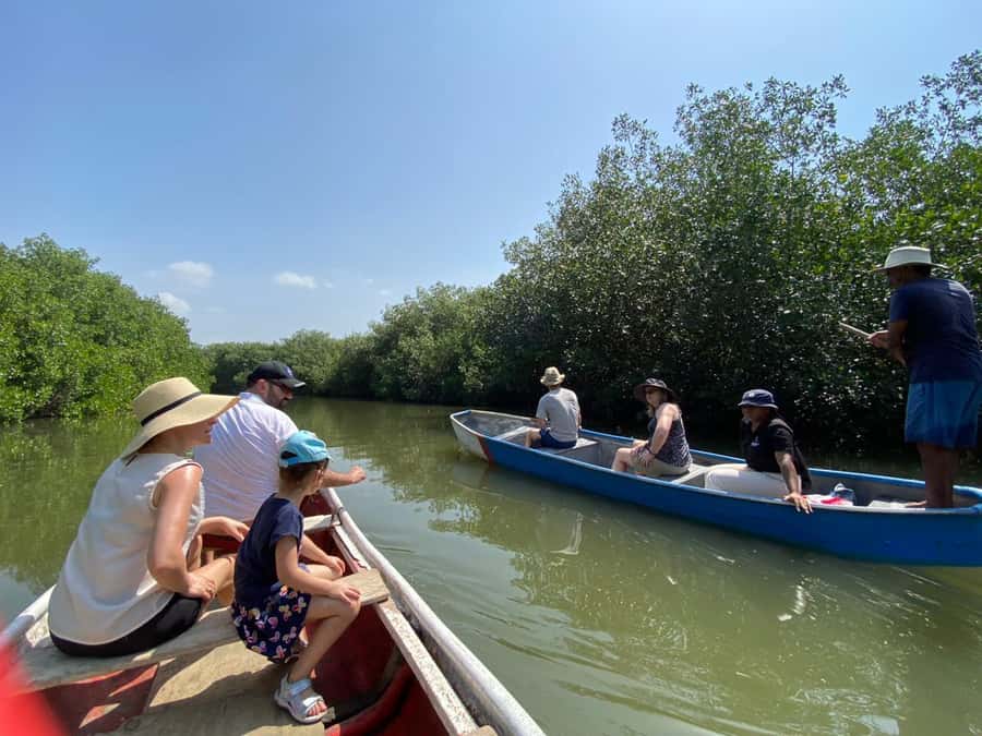 Cartagena: Mangrove Eco Tour & Fishing with Transportation - Starting with coconut water and a local welcome