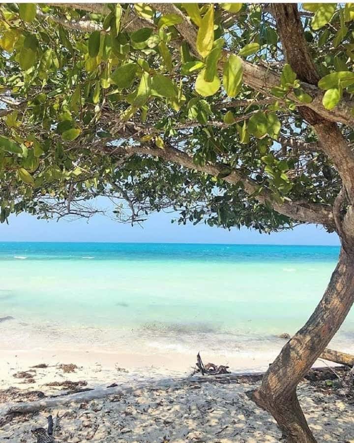 cartagena: Mucura and Santa Cruz Islands Tour spectacular - How the $120 price measures up