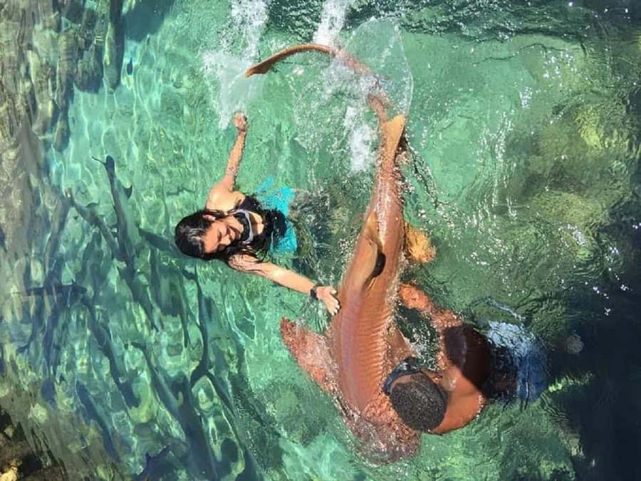 cartagena: Mucura and Santa Cruz Islands Tour spectacular - The transfer to Múcura Island