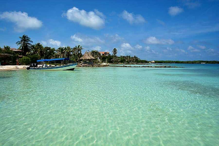 cartagena: Mucura and Santa Cruz Islands Tour spectacular - Lunch with fish, chicken, and Colombian sides