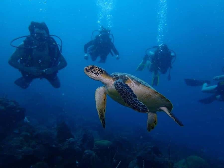 Cartagena: PADI DISCOVER SCUBA / MINICURSO DE BUCEO - The speedboat ride to Barú