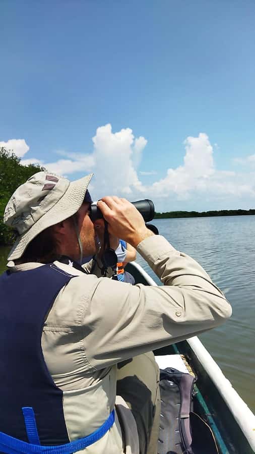 Cartagena: Private Sail in the mangrove GUIDE in ENGLISH - Looking for crabs, fish, and mangrove plants