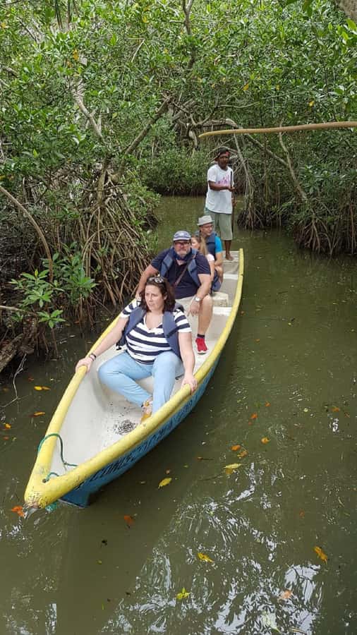 Cartagena: Private Sail in the mangrove GUIDE in ENGLISH - Bird watching through the three tunnels