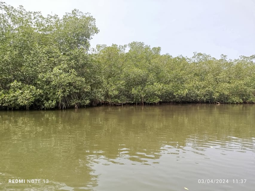 Cartagena: Private Sail in the mangrove GUIDE in ENGLISH - The weak point is coordination, not the wetland