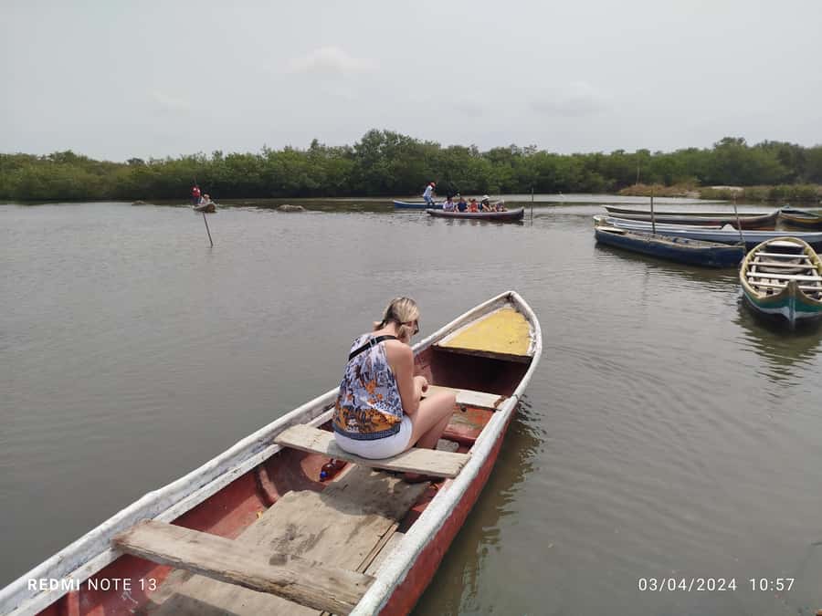 Cartagena: Private Sail in the mangrove GUIDE in ENGLISH - Who will enjoy this Cartagena outing most
