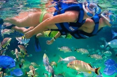 Raccoon Island Snorkel, Mangrove, Photos & Lunch