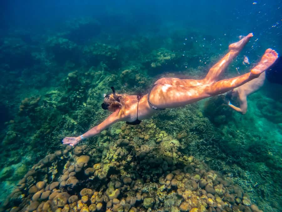 Cartagena: Rosario Islands Day Tour with Snorkel & Lunch - Key Points Before You Book