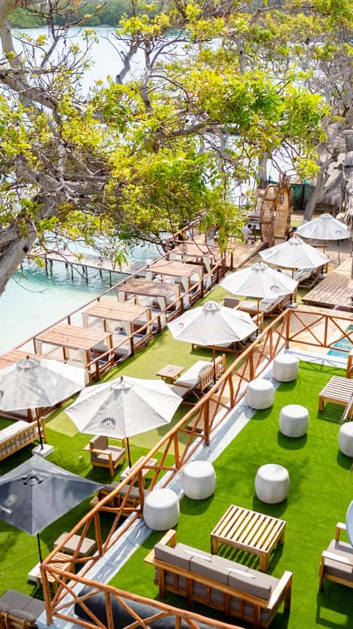 Cartagena: Rosario Islands Daypass Ibbiza Island Beach Club - Who will enjoy this beach club most?