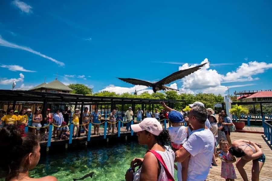 Cartagena: Rosario islands Playa Blanca Barù by boat & lunch - Key points to know before you book