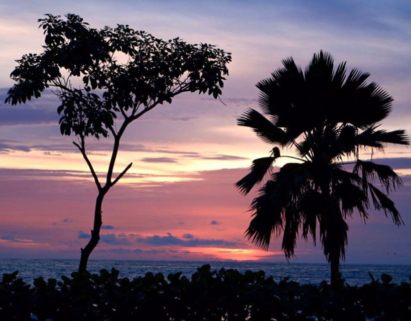 Cartagena: Rosario Islands Private Boat Tour - Who will enjoy this private Rosario Islands day?