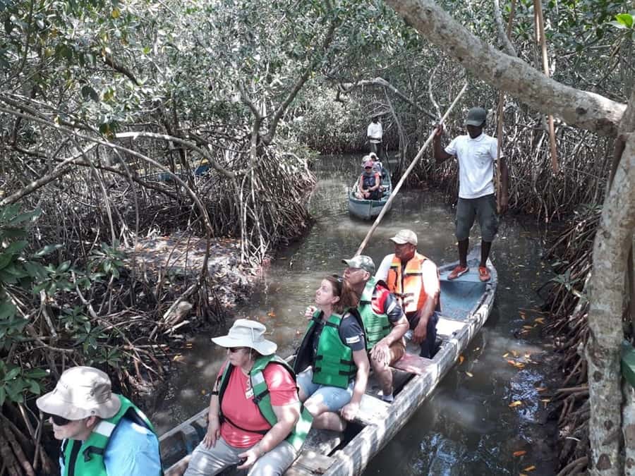 Cartagena: Sail in the mangroves of Cartagena - Three tunnels and the quietest part of the ride