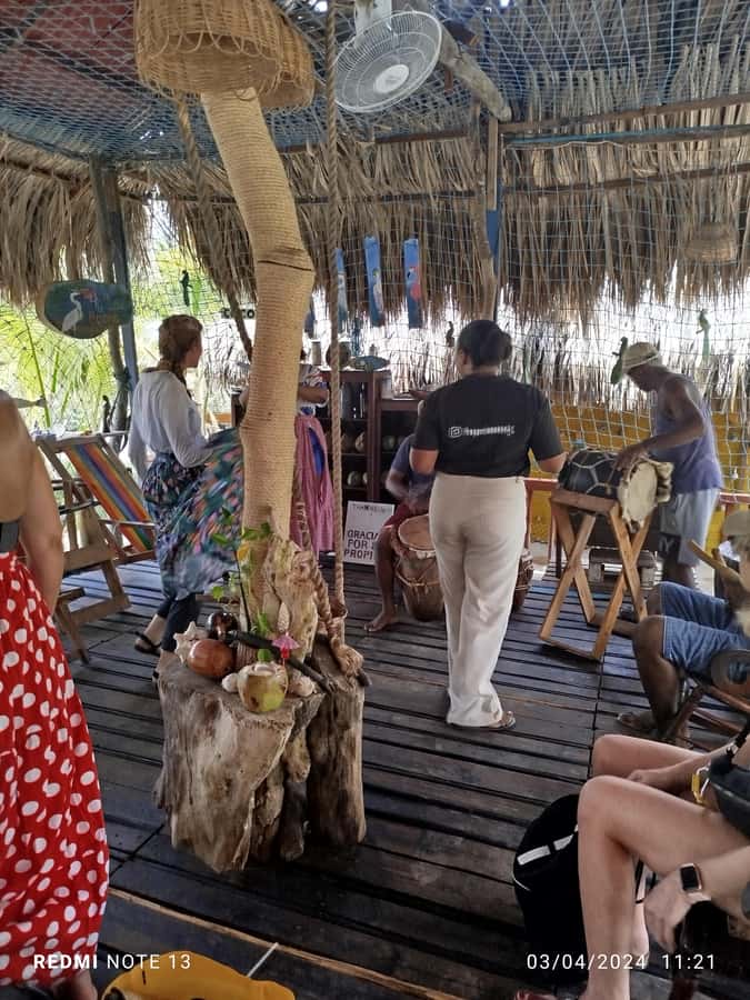 Cartagena: Sail in the mangroves of Cartagena - Transport is the part to plan carefully