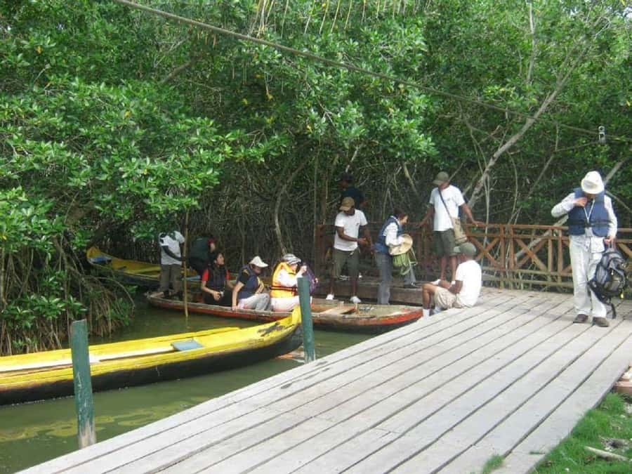 Cartagena: Sail in the mangroves of Cartagena - What the price includes, and what it does not