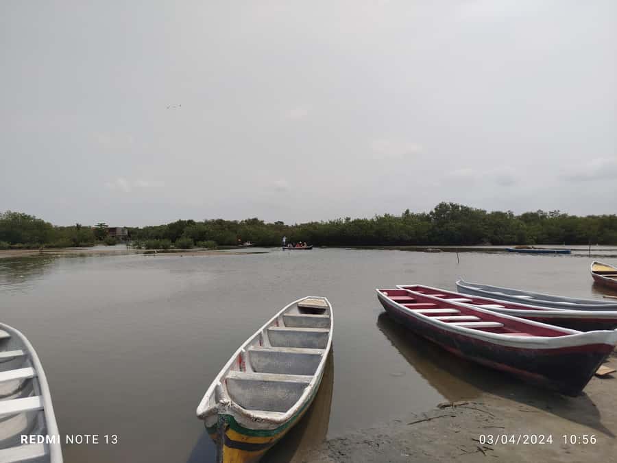 Cartagena: Sail in the mangroves of Cartagena - Who will enjoy this canoe trip most