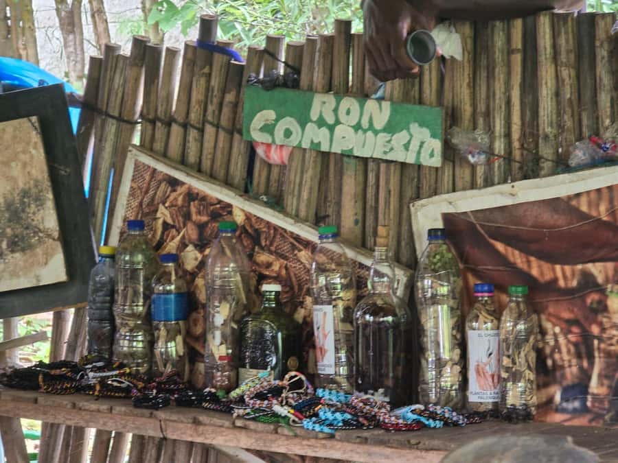 Cartagena: San Basilio de Palenque Guided Day Trip - Key details before you book