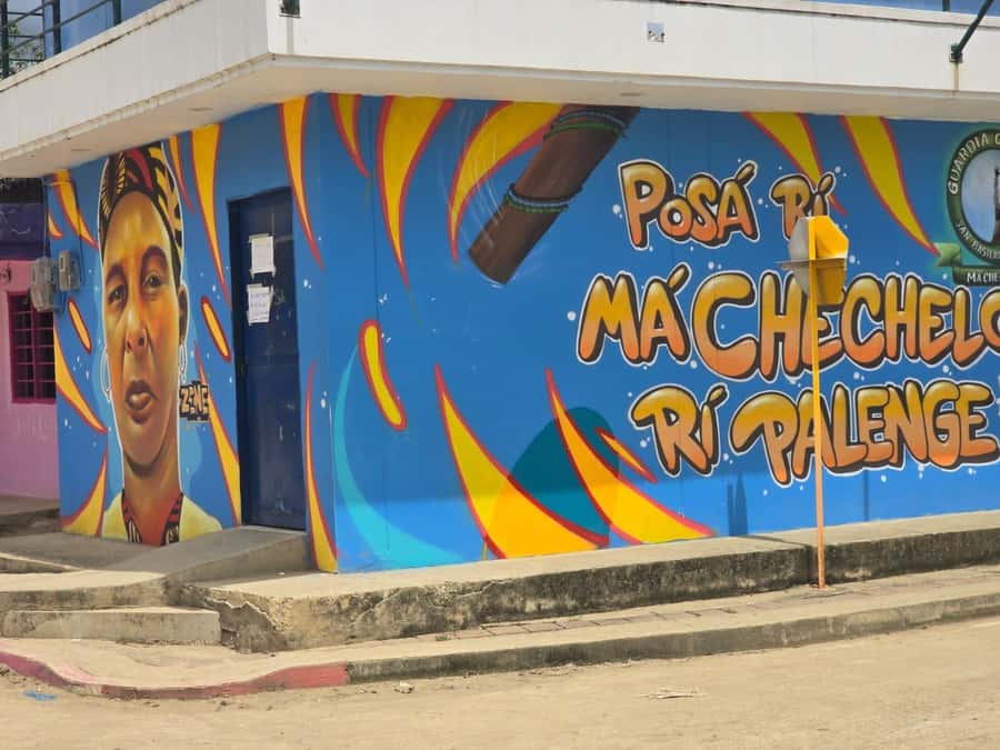 Cartagena: San Basilio de Palenque Guided Day Trip - Traditional medicine and everyday knowledge