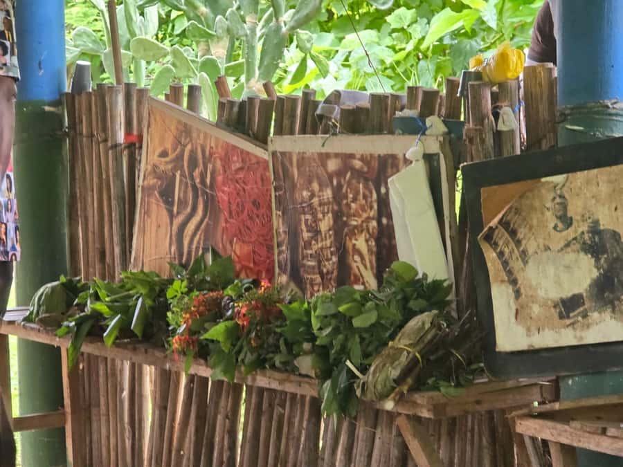 Cartagena: San Basilio de Palenque Guided Day Trip - Is the $92 price fair?