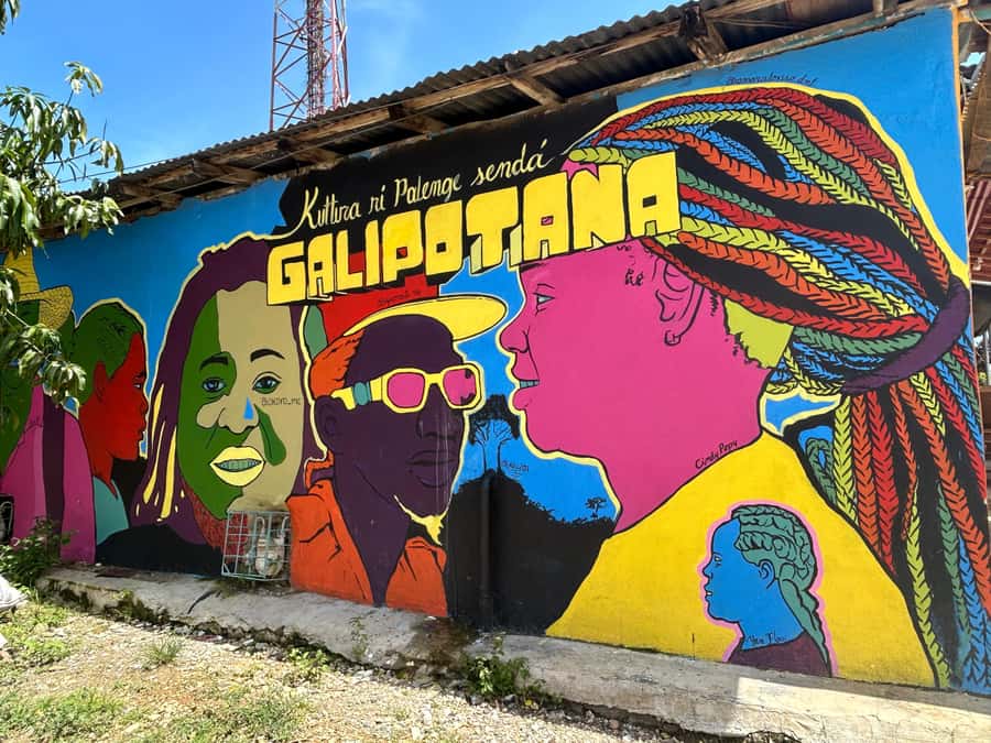 Cartagena:San Basilio de Palenque private DayTrip with Lunch - Four things to know before you go