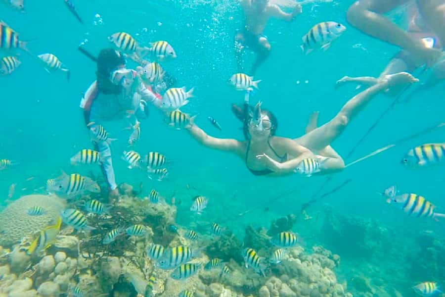 Cartagena: Snorkel, Mangroves and Playa Blanca Tour - What this Cartagena island day really offers