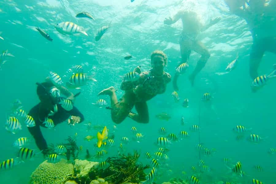 Cartagena: Snorkel, Mangroves and Playa Blanca Tour - Snorkeling over Barú’s coral and fish