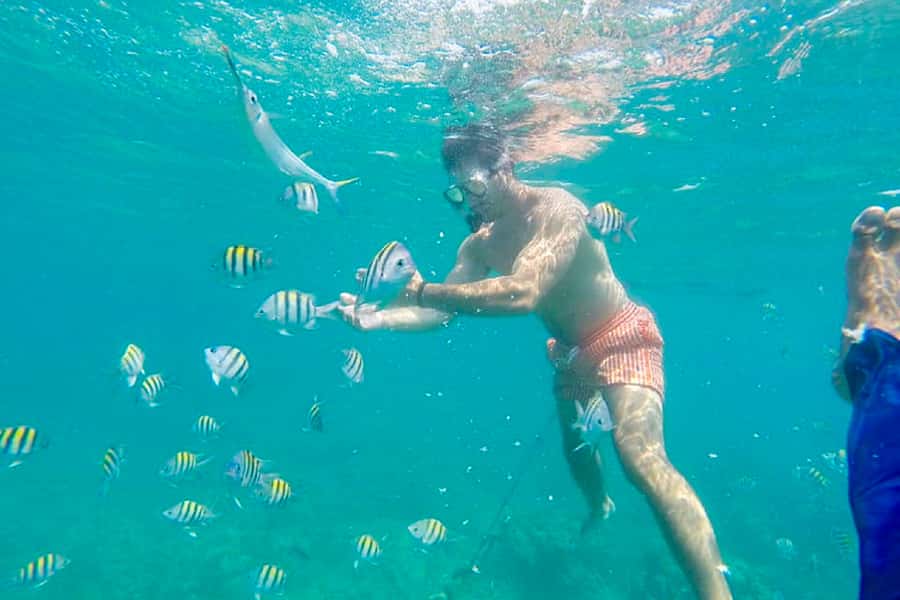 Cartagena: Snorkel, Mangroves and Playa Blanca Tour - Playa Blanca from 1 PM to 3:30 PM