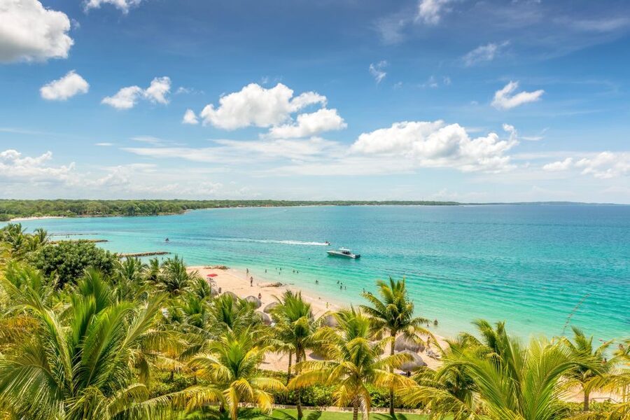 Cartagena: Snorkel, Mangroves and Playa Blanca Tour - Guides, language, and day-to-day organization