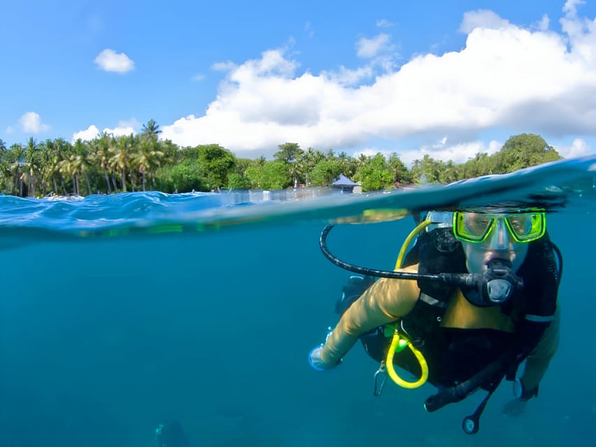 Cartagena: Tour to Playa Tranquila with Snorkeling + Luminous Plankton and Parasol - Guides, language, and group management