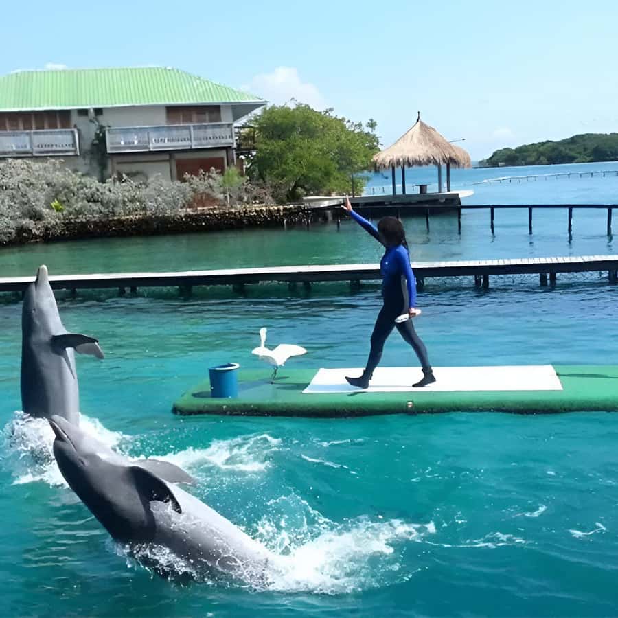 Cartagena: Visit 4 islands in a speedboat + plankton! - Should you book this Rosario Islands tour?