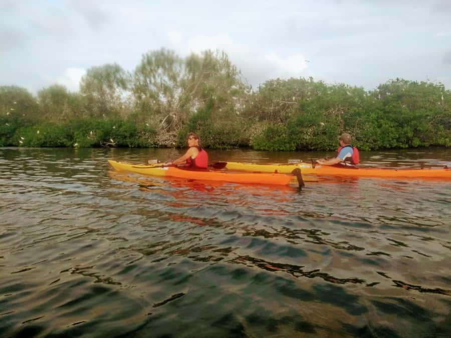 Cartagena: Walled City Kayak Tour - Through the Román Bridge and into San Lázaro Lagoon