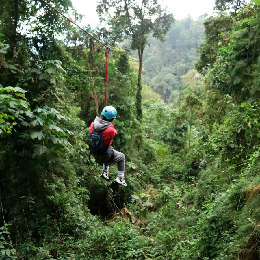 Chicaque Foggy Forest Hike - Leaving Bogotá for Chicaque’s mountain air