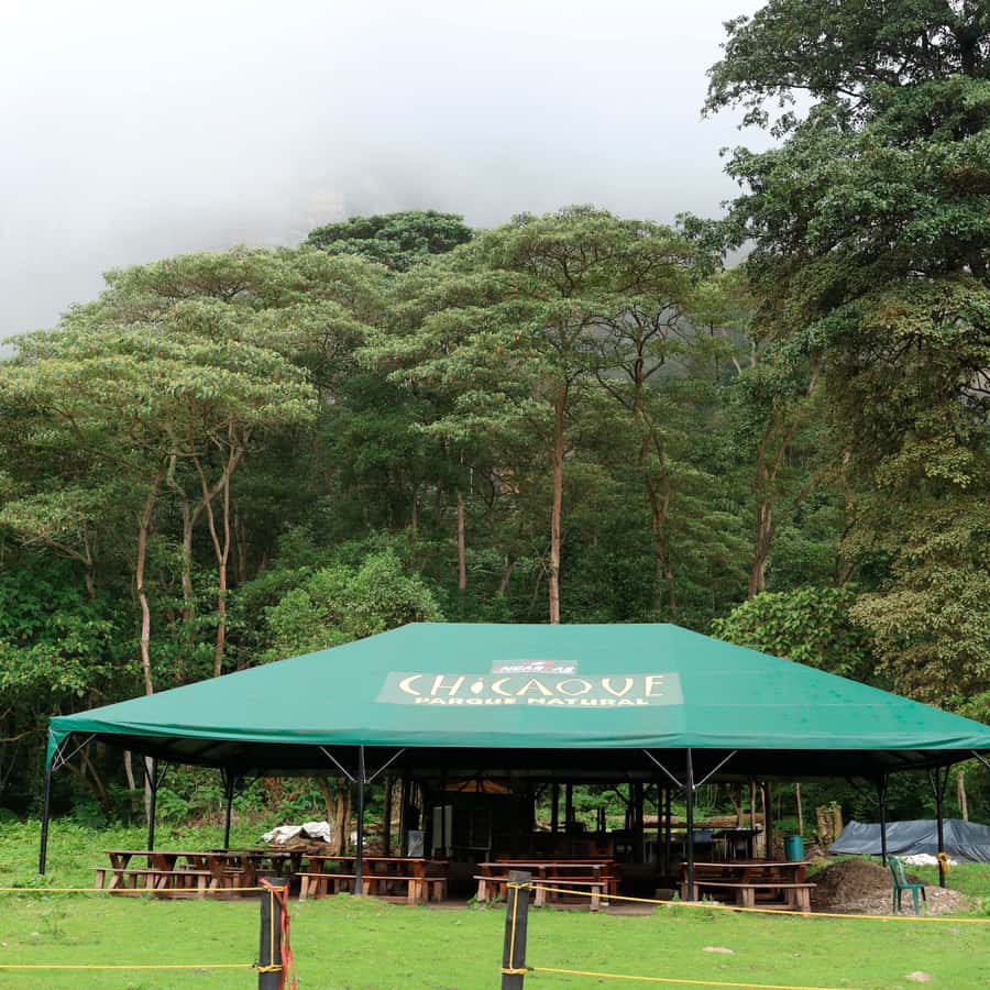 Chicaque Foggy Forest Hike - Choosing between easy walks and harder mountain trails