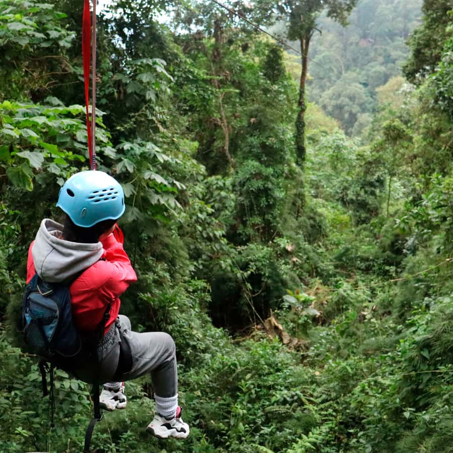 Chicaque Foggy Forest Hike - Guides, drivers, and the small-group advantage