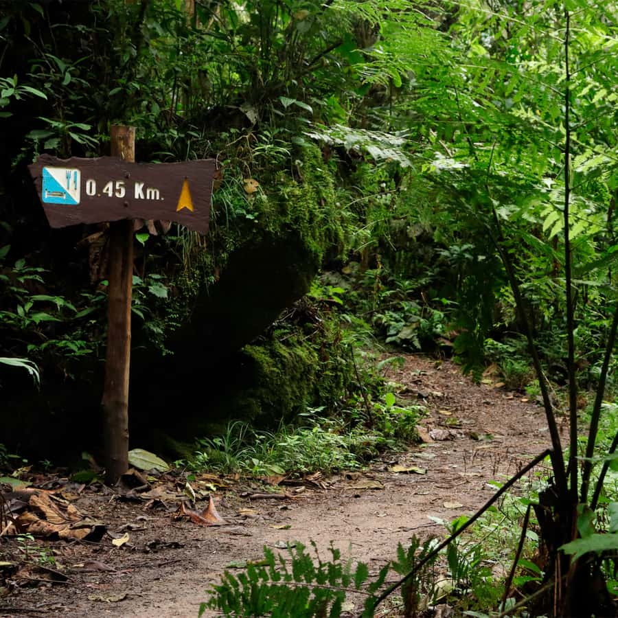 Chicaque Foggy Forest Hike - Getting oriented inside the protected park