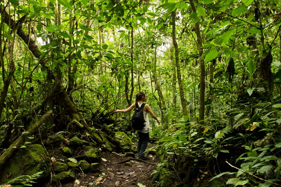 Chicaque Full-Day Trip from Bogotá - Leaving Bogotá for Chicaque’s cool forest