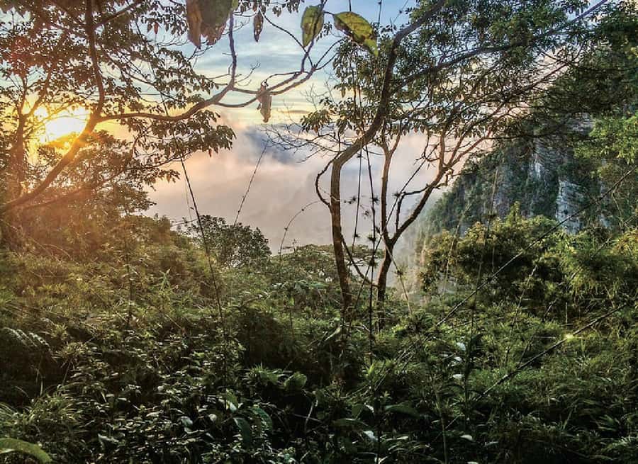 Chicaque Full-Day Trip from Bogotá - Oak trees, streams, and open viewpoints