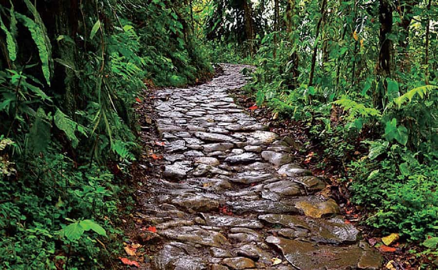 Chicaque Full-Day Trip from Bogotá - Who should book this day trip