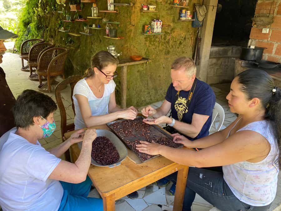Chocolate tour near the Medellín - Key points to know before booking