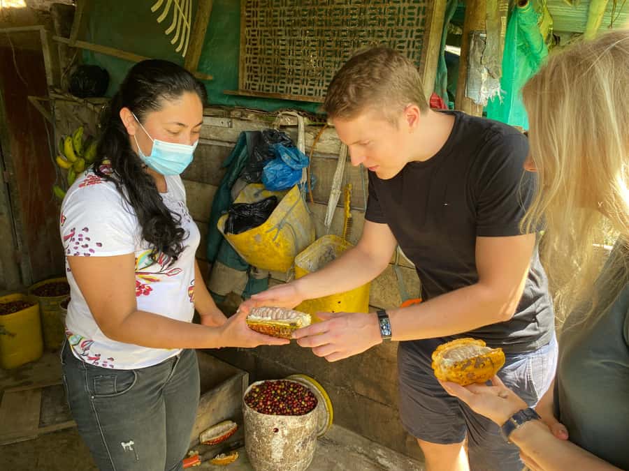 Chocolate tour near the Medellín - Walking through the cacao grove