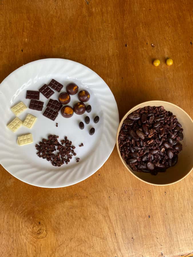 Chocolate tour near the Medellín - Turning cacao pods into chocolate