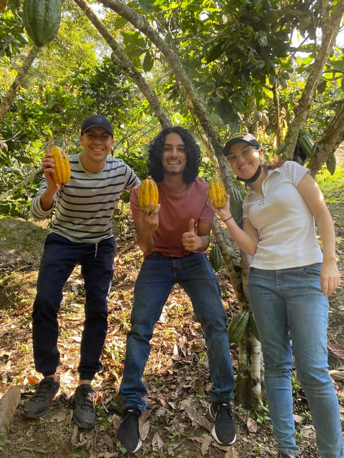 Chocolate tour near the Medellín - What the six-hour schedule feels like